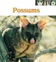 Possums (NZ Wild Series)