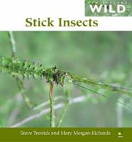 Stick Insects (NZ Wild Series)