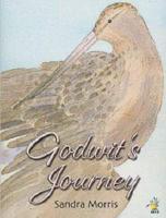 Godwit's Journey