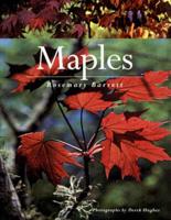 Maples