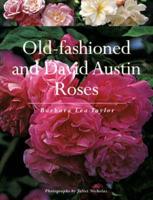 Old Fashioned and David Austin Roses