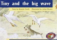 Tiny and the Big Wave PM Yellow Set 3 Fiction Level 8