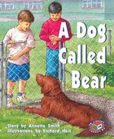 PM Purple: A Dog Called Bear (PM Storybooks) Level 19