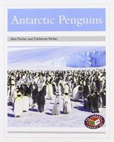 PM Silver: Antarctic Penguins (PM Non-Fiction) Levels 23, 24