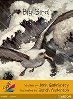 Sails Fluency Gold: Big Bird