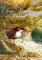 A Clear Water Stream