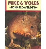 Mice & Voles
