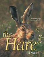 The Hare