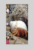 A Guide to Finding Seashore & Rockpool Life in Somerset