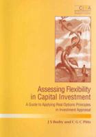 Assessing Flexibility in Capital Investment