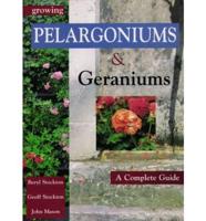 Growing Pelargoniums & Geraniums