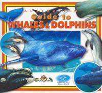 Australia Guide to Whales & Dolphins