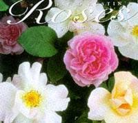 David Austin's Roses