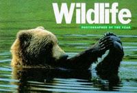 Wildlife Photographer of the Year 1998
