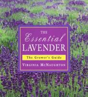 Essential Lavender