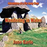 Adventures of a Far Away Bear: Book 4 - Wandering in Wales