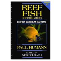 Reef Fish Identification