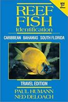 Reef Fish Identification