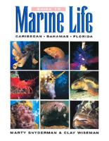 Guide to Marine Life
