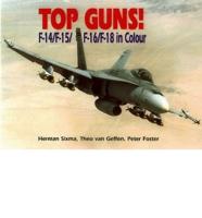Top Guns: F-14, F-15, F-16, F-18
