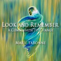 Look and Remember - A Commission to Change