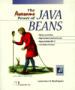 The Awesome Power of Java Beans