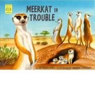 Meerkat in Trouble