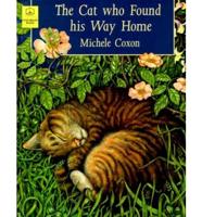 The Cat Who Found His Way Home