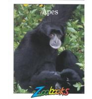 Apes