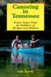 Canoeing in Tennessee