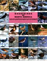 Shorebirds of North America