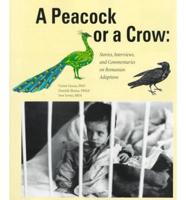 A Peacock or a Crow