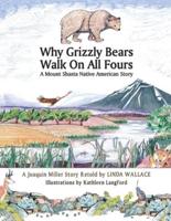 Why Grizzly Bears Walk on All Fours