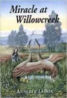 Miracle at Willowcreek