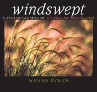 Windswept