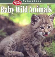 Baby Wild Animals