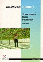 Strawberries Under Protection
