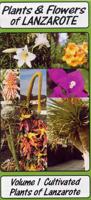 Plants & Flowers of Lanzarote