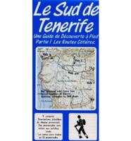 Le Sud De Tenerife