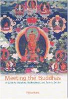 Meeting the Buddhas