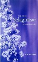 The Tribe Selagineae (Scrophulariceae)