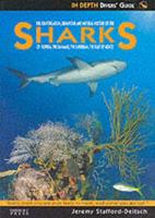 Sharks of Florida, the Bahamas, the Caribbean and the Gulf of Mexico