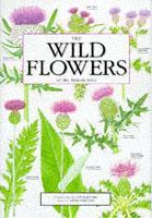 The Wild Flowers of the British Isles