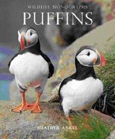 Puffins