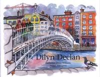 Cyfres Cwmpawd: Dilyn Declan