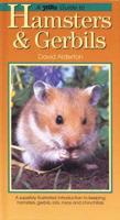 A PetLove Guide to Hamsters & Gerbils