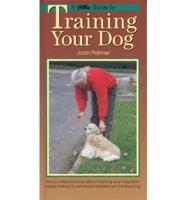 A PetLove Guide to Training Your Dog