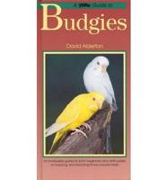 A Birdkeeper's Guide to Budgies