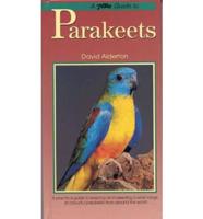 Petlove Guide to Parakeets