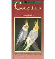 A PetLove Guide to Cockatiels